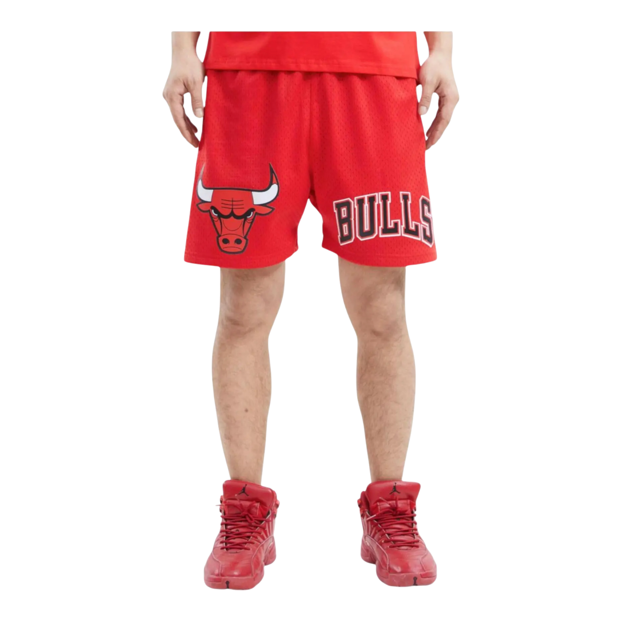 Pro Standard NBA Chicago Bulls Logo Pro Team Mesh Shorts Pro Standard