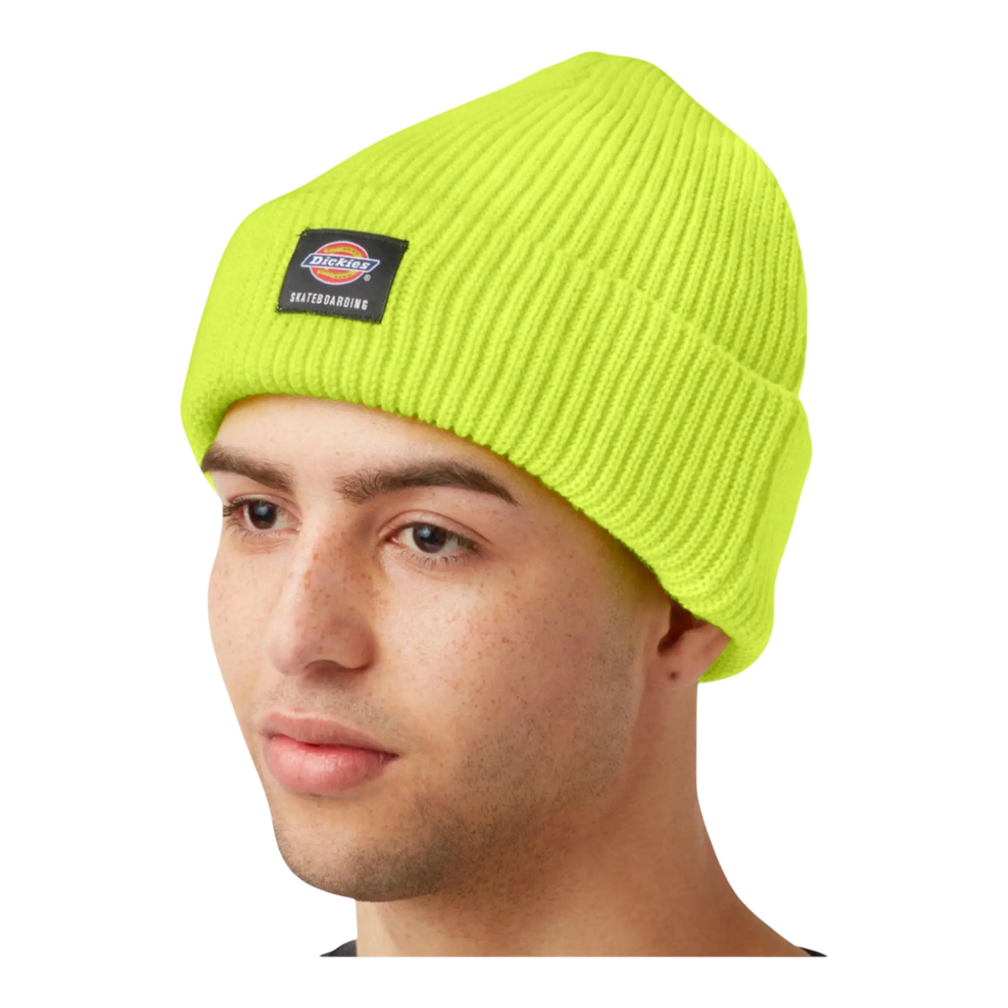 Dickies Skateboarding Cuffed Beanie Dickies
