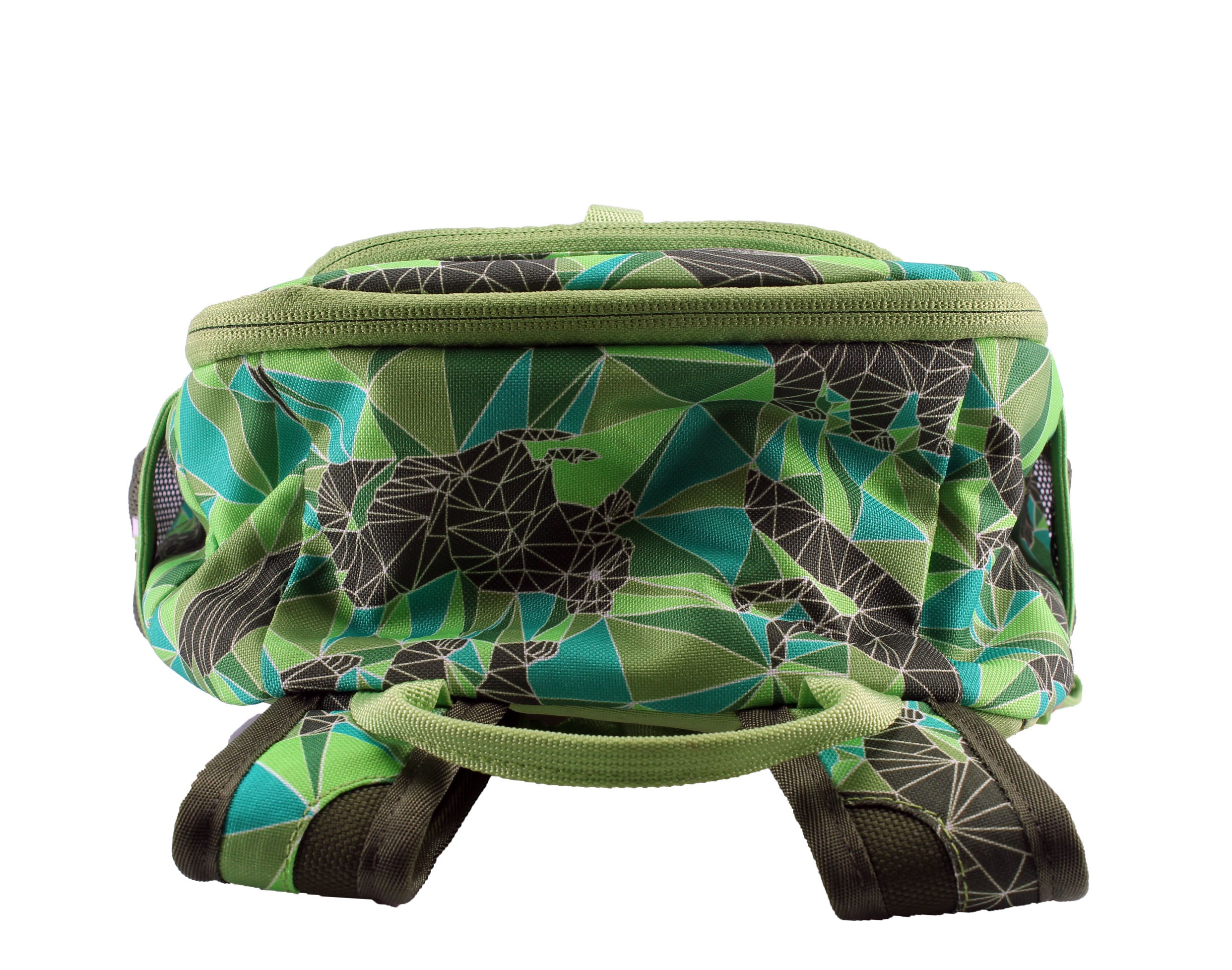The North Face Sprout Youth Backpack
