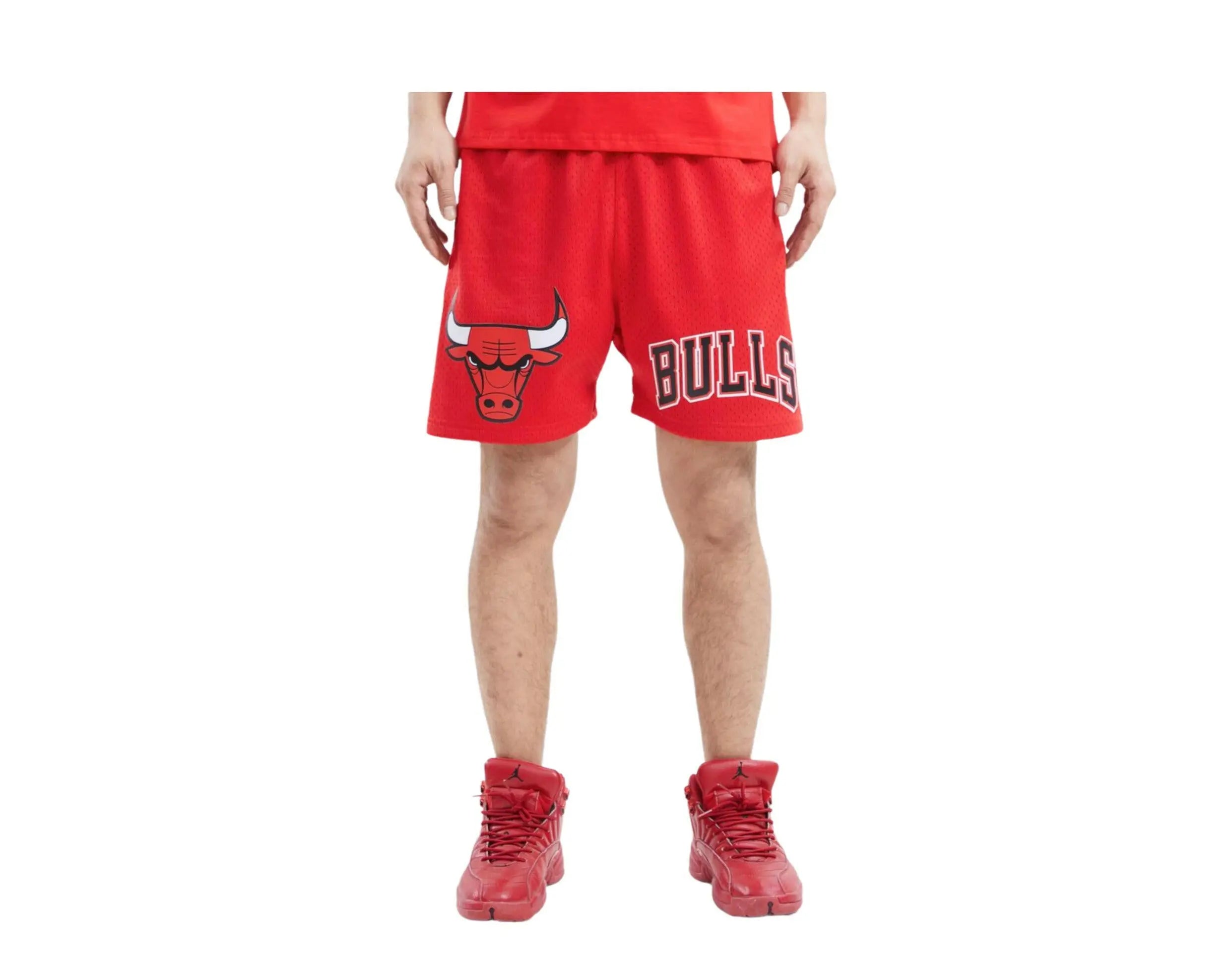 Pro Standard NBA Chicago Bulls Logo Pro Team Mesh Shorts.