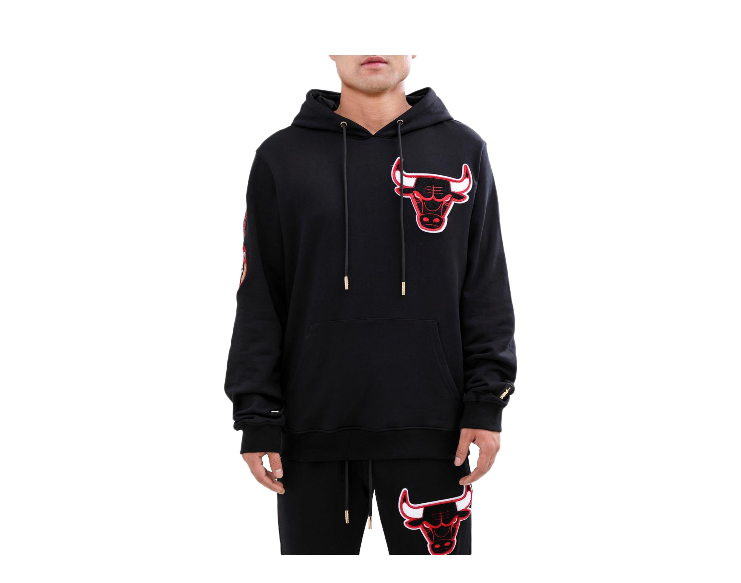 Pro Standard Blended Chicago Bulls Men's Hoodie
