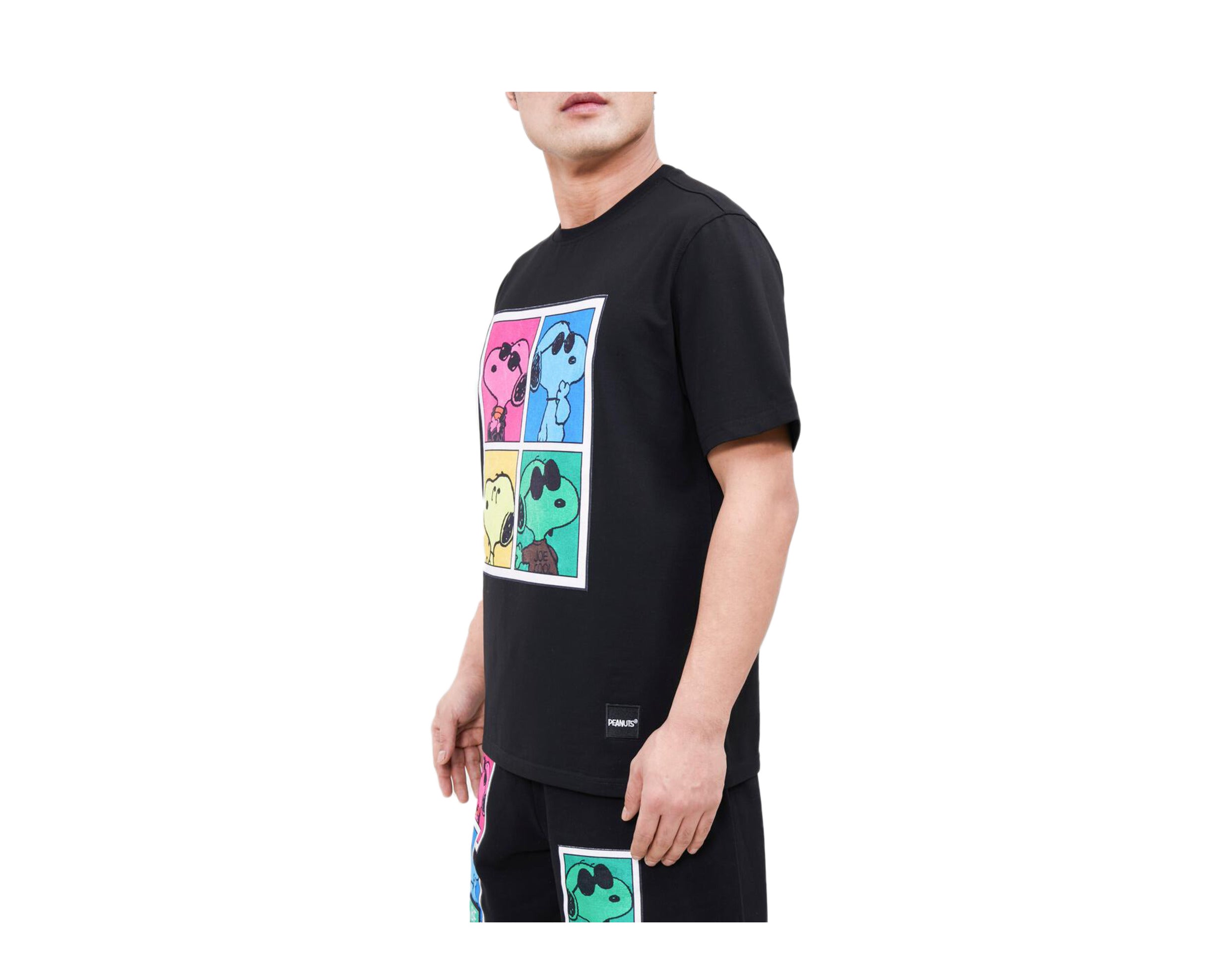 Freeze Max Snoopy Pop Art Men's Tee Shirt