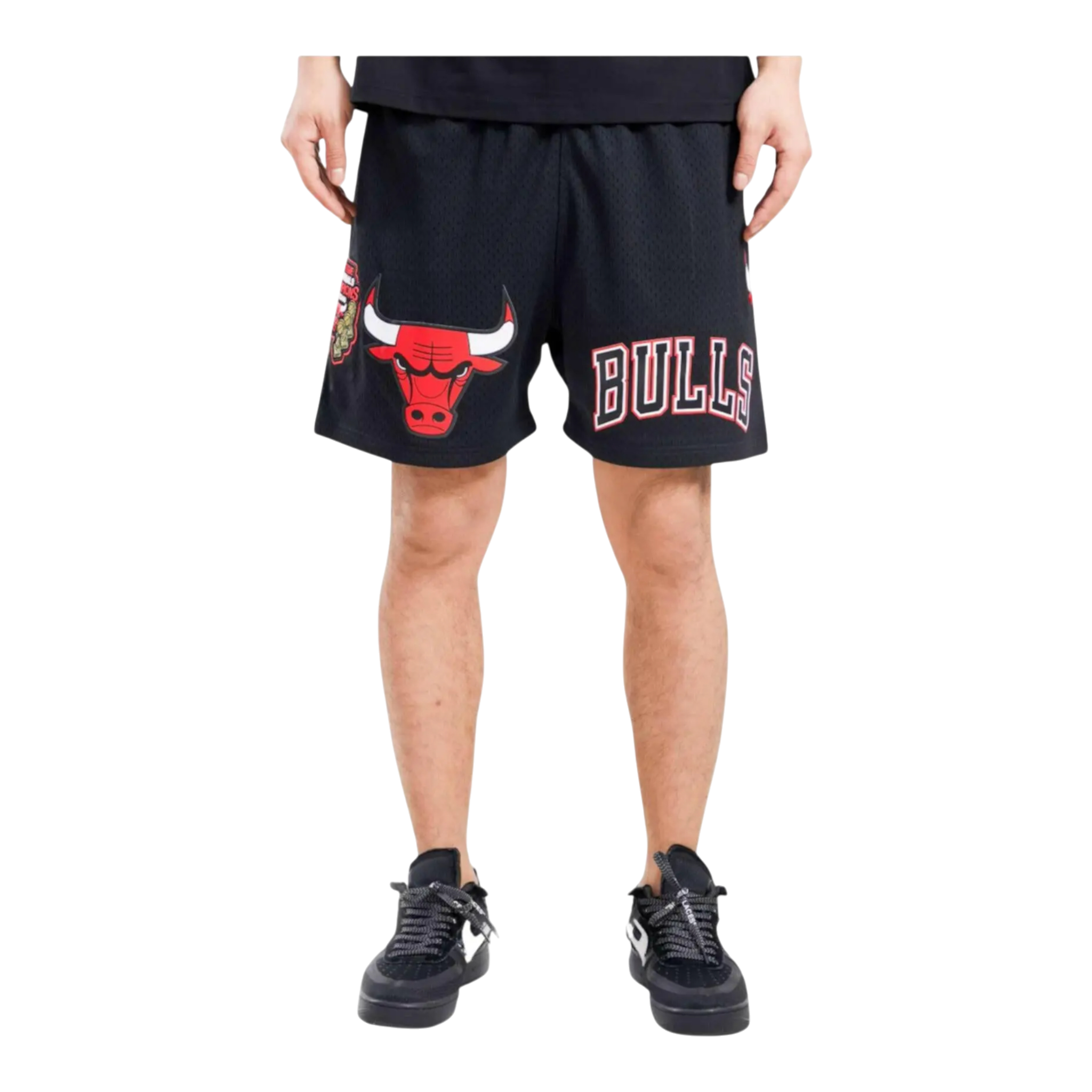 Pro Standard NBA Chicago Bulls Logo Pro Team Mesh Shorts Pro Standard