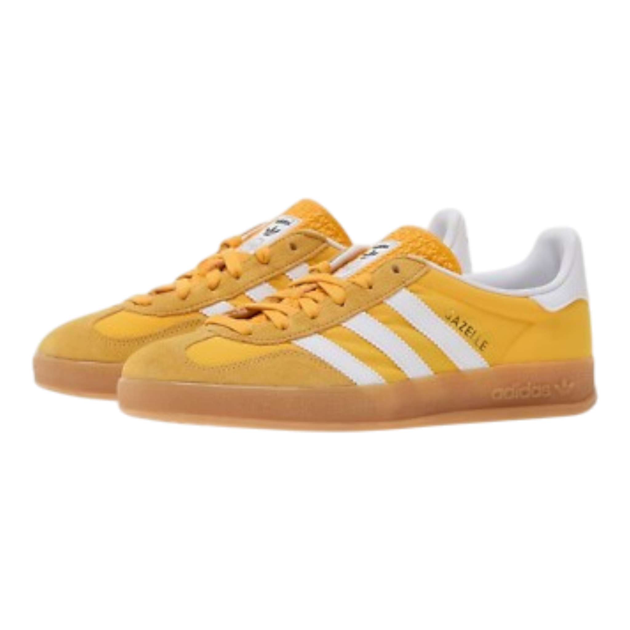 GAZELLE INDOOR