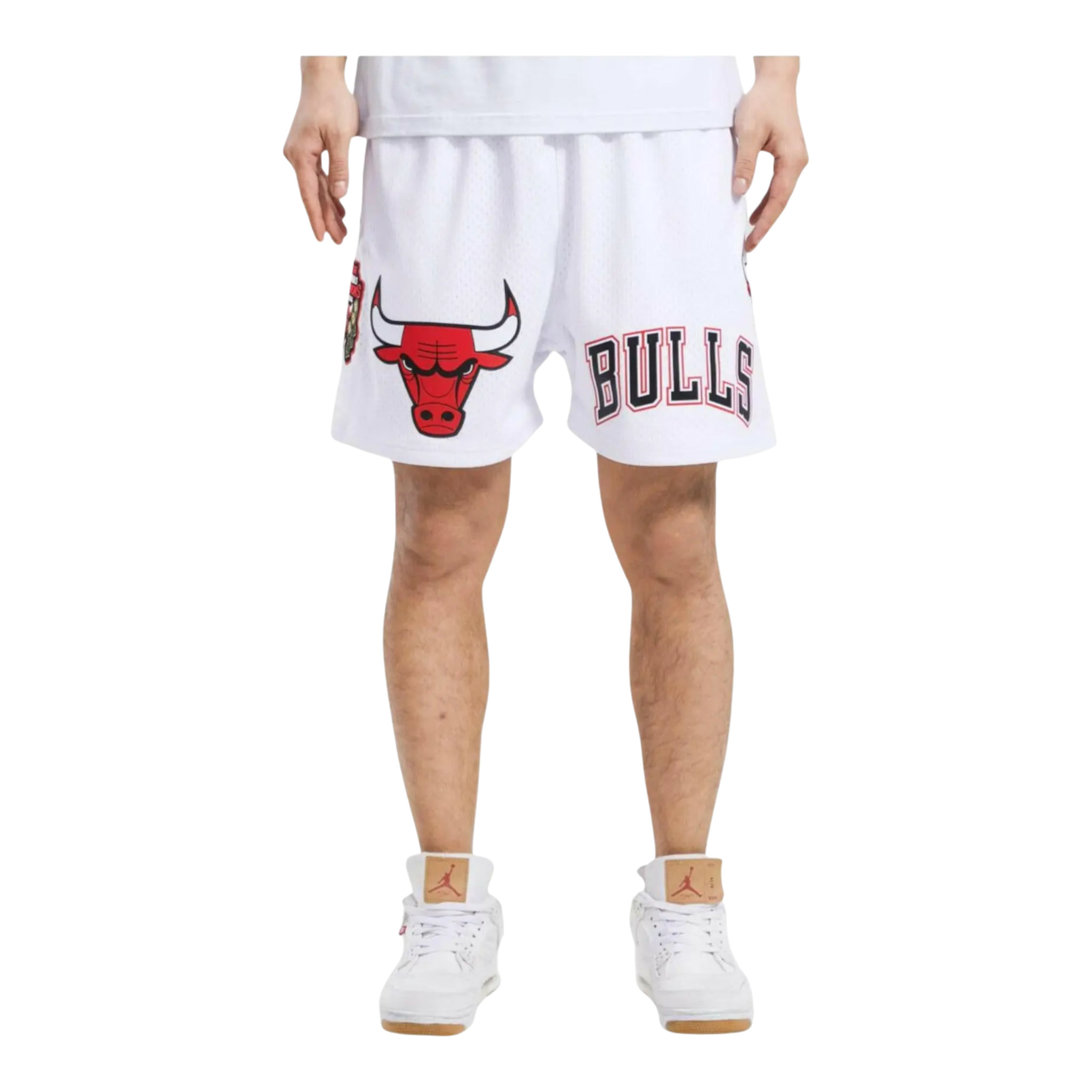 Pro Standard NBA Chicago Bulls Logo Pro Team Mesh Shorts Pro Standard