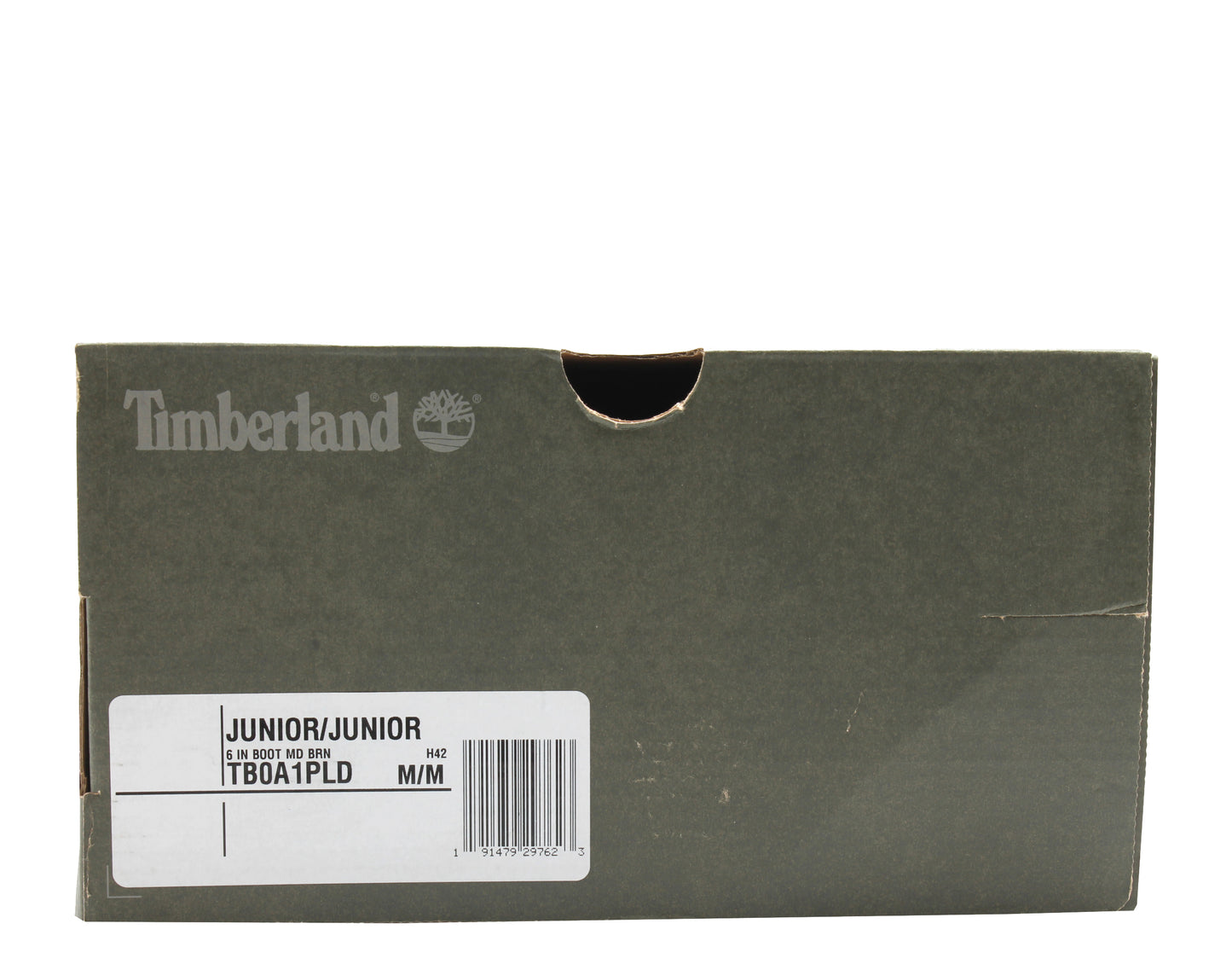 Timberland 6-inch Premium Waterproof Junior Big Kids Boots