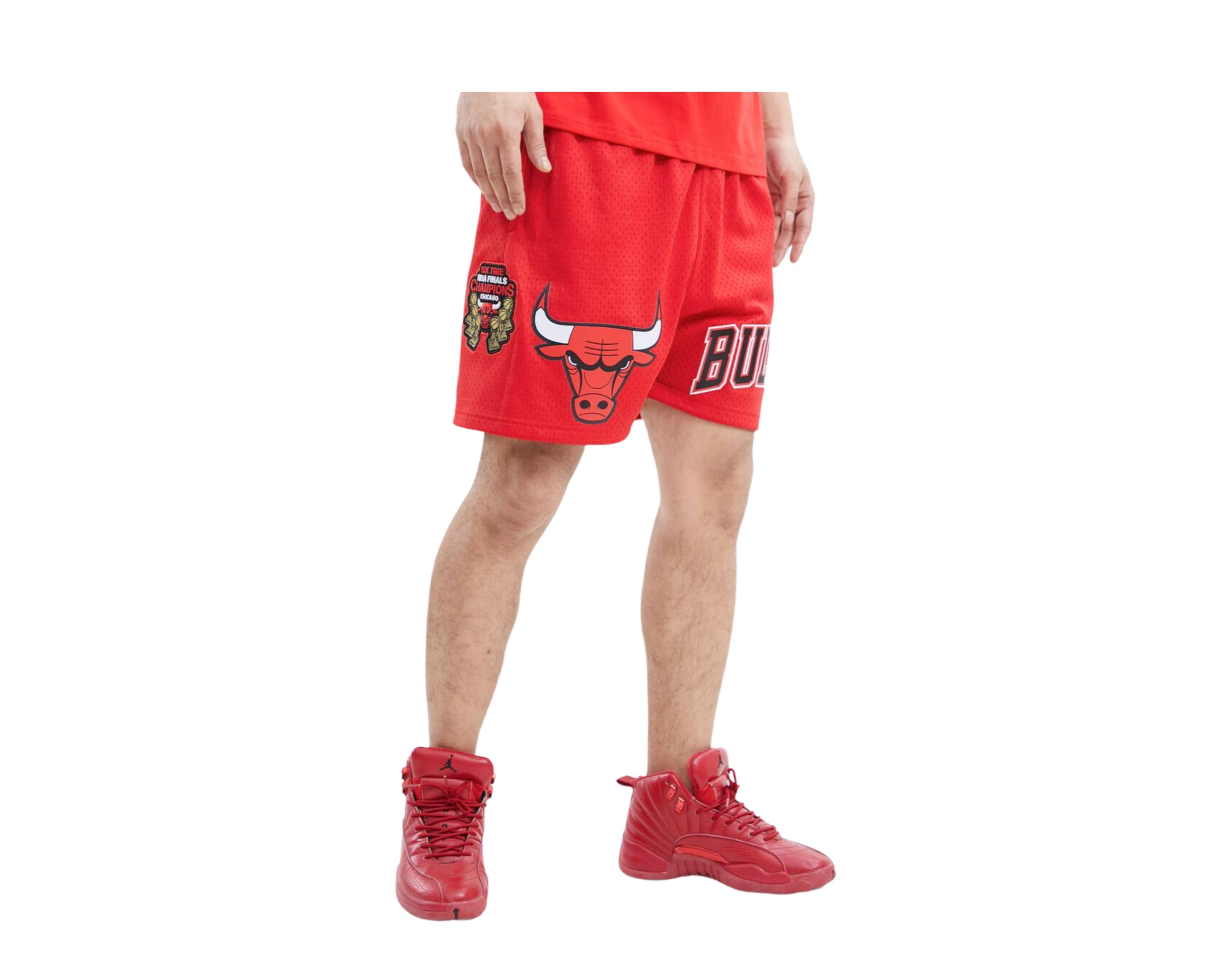 Pro Standard Mens NBA Chicago Bulls Logo Pro Team Shorts BCB353795-BWP Ombre 2XL