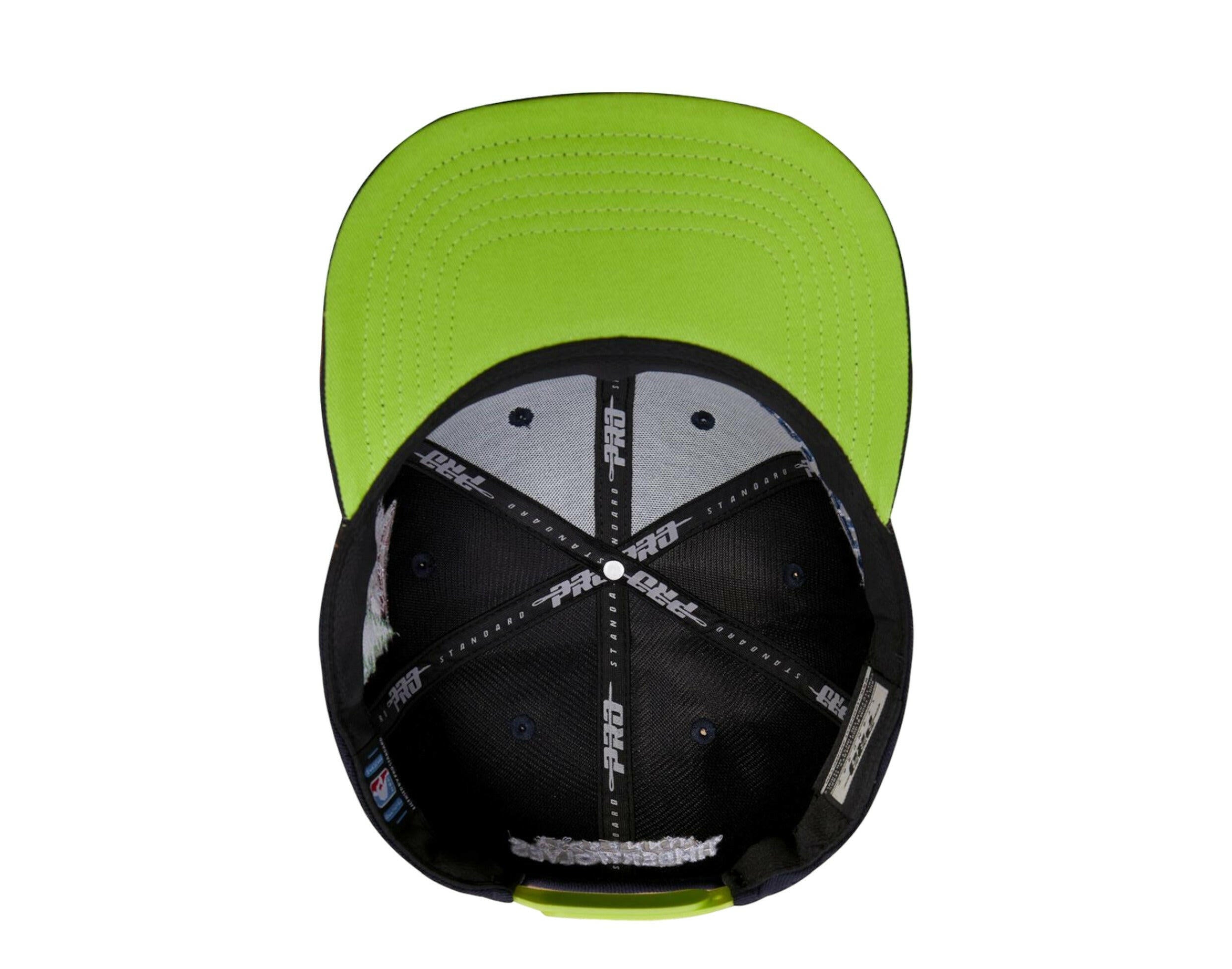 Pro Standard NBA Minnesota Timberwolves Hometown Snapback Hat.