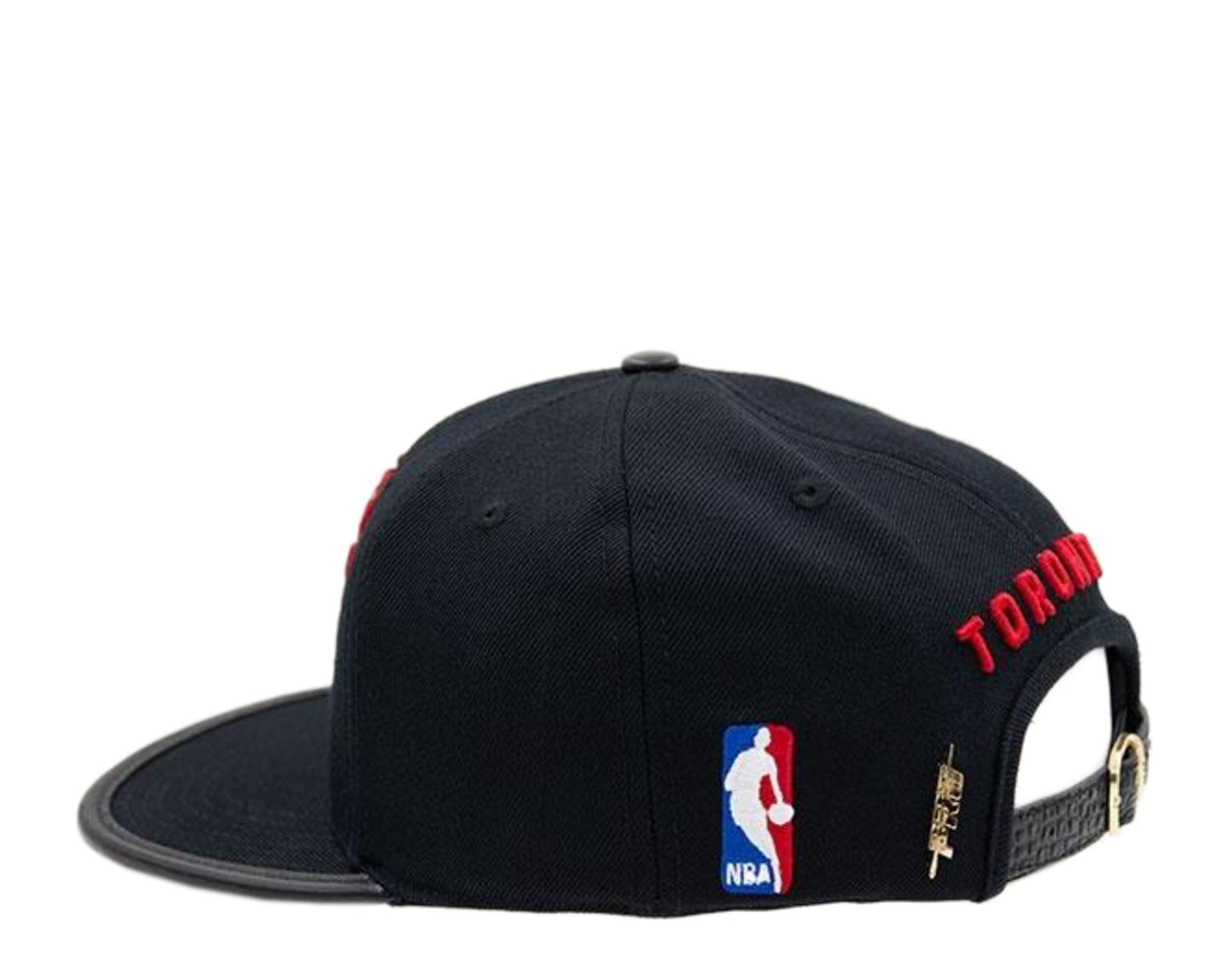 Pro Standard Blended Letter Logo Toronto Raptors Strapback Hat