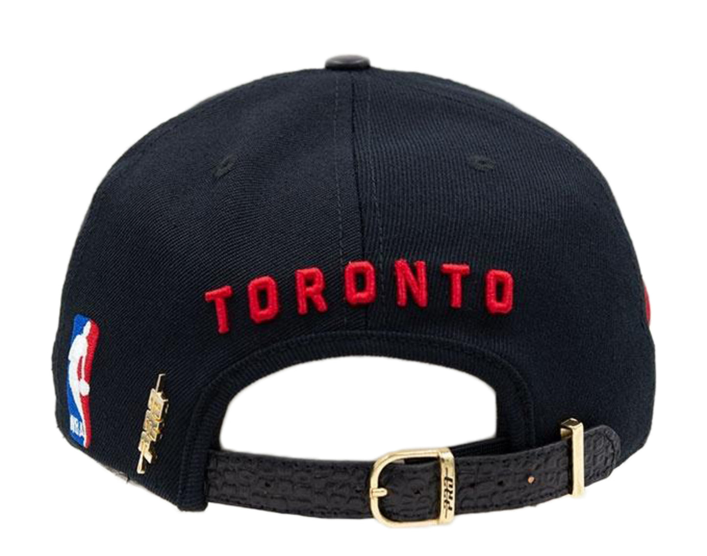 Pro Standard Blended Letter Logo Toronto Raptors Strapback Hat