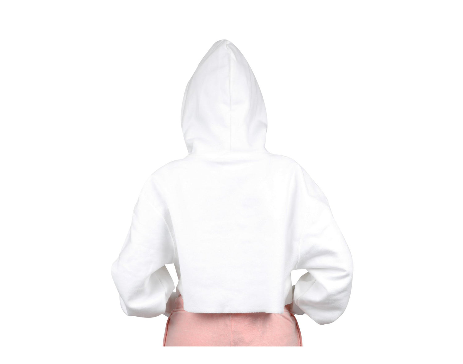 Champion C-Life Reverse Weave Cropped Cut Off Colorblock Women's Hoodie